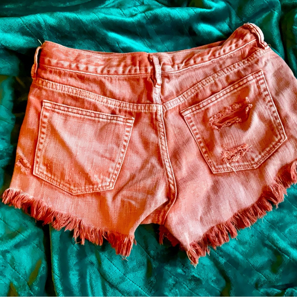 We The Free CUTOFFS NWOT IN DUSTY ROSETTE